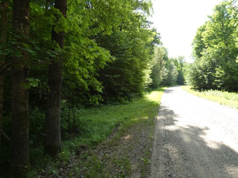 Lot 49 Camp 6 Loop Road Laona, WI 54541 - Photo 4 of 7 Gallery Image 4
