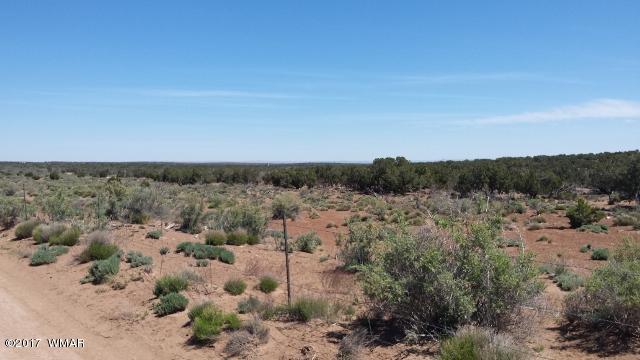 8613 East Tryon Lane Snowflake, AZ 85937 - Photo 18 of 19 Gallery Image 18