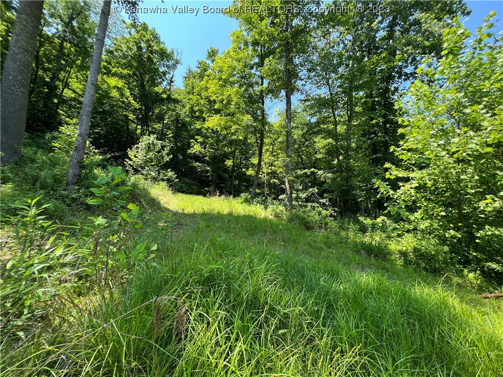 2165 Chapps Fork Road Charleston, WV 25312 - Photo 9 of 10 Gallery Image 9