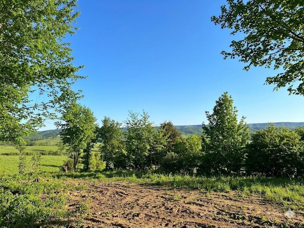 Lot 9 Long View Union, WV 24983 - Photo 10 of 13 Gallery Image 10
