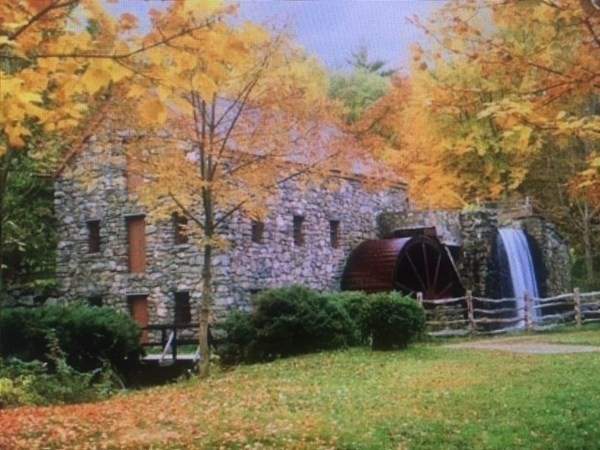 45 Widow Rites Lane Sudbury, MA 01776 - Photo 11 of 19 a view of a garden with a bench