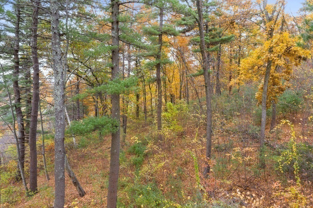 45 Widow Rites Lane Sudbury, MA 01776 - Photo 9 of 19 a backyard of a house with lots of trees