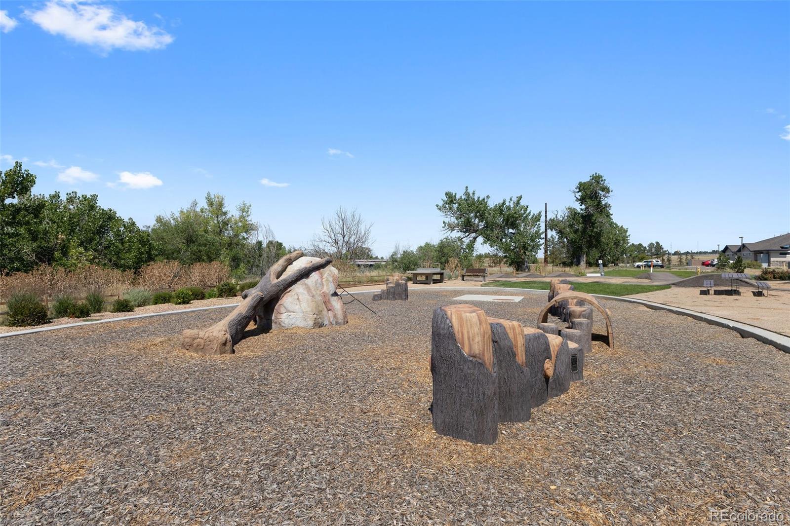 9287 Twenty Mile Road, Unit 401 Parker, CO 80134 - Photo 41 of 44