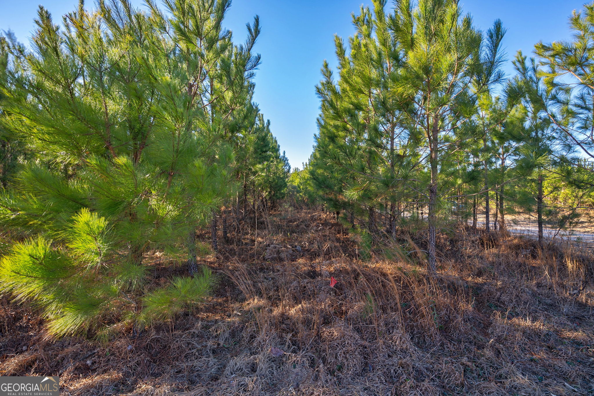 0 Lower Harmony Road Eatonton, GA 31024 - Photo 12 of 44