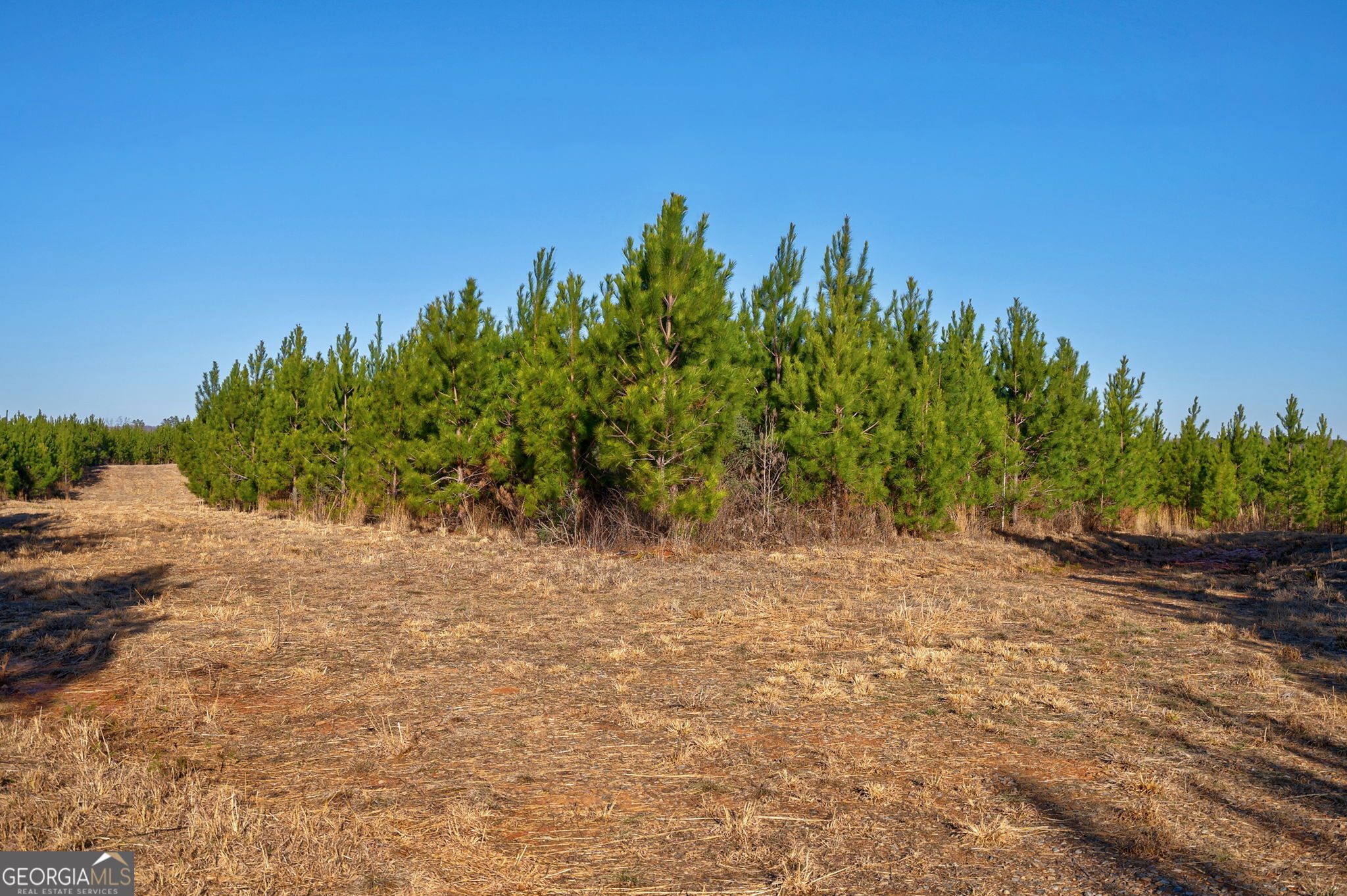 0 Lower Harmony Road Eatonton, GA 31024 - Photo 13 of 44