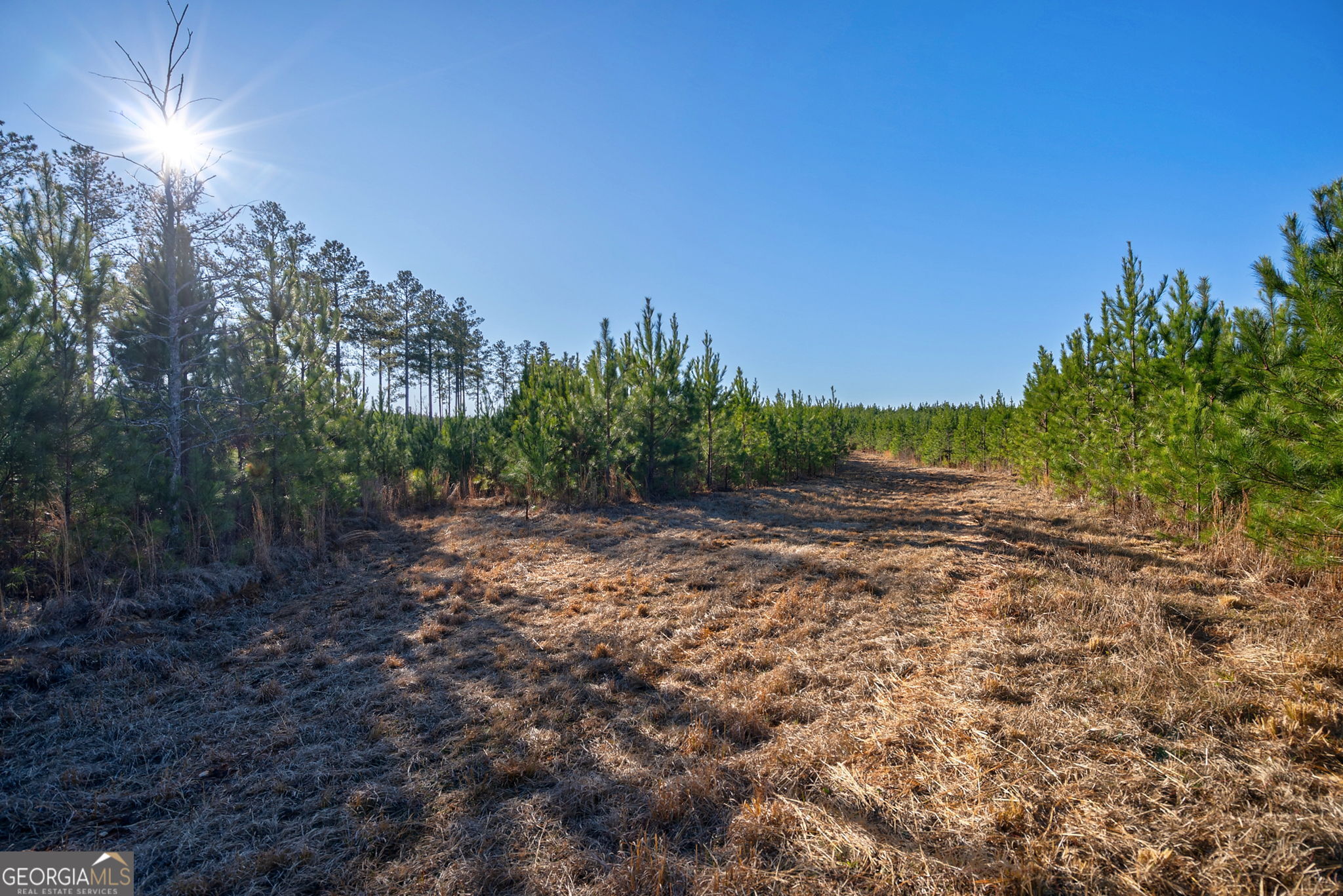 0 Lower Harmony Road Eatonton, GA 31024 - Photo 16 of 44