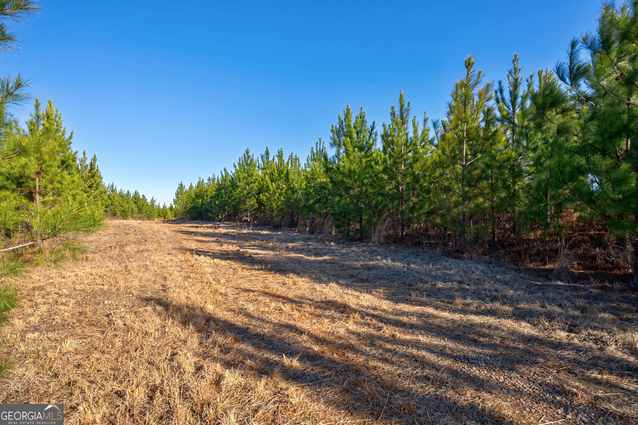 0 Lower Harmony Road Eatonton, GA 31024 - Photo 17 of 44