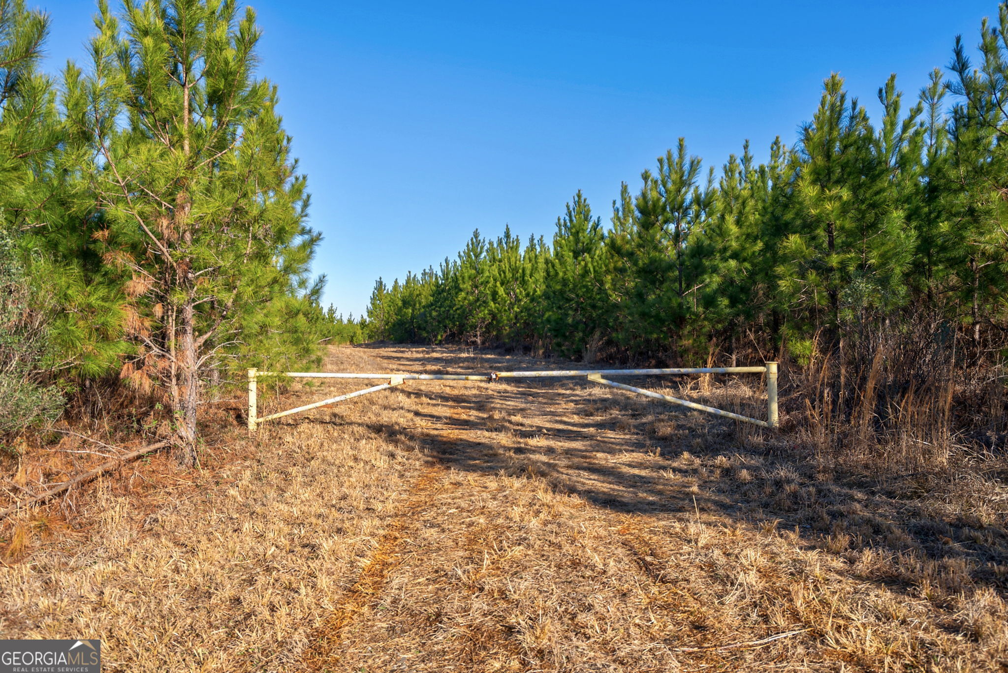 0 Lower Harmony Road Eatonton, GA 31024 - Photo 18 of 44