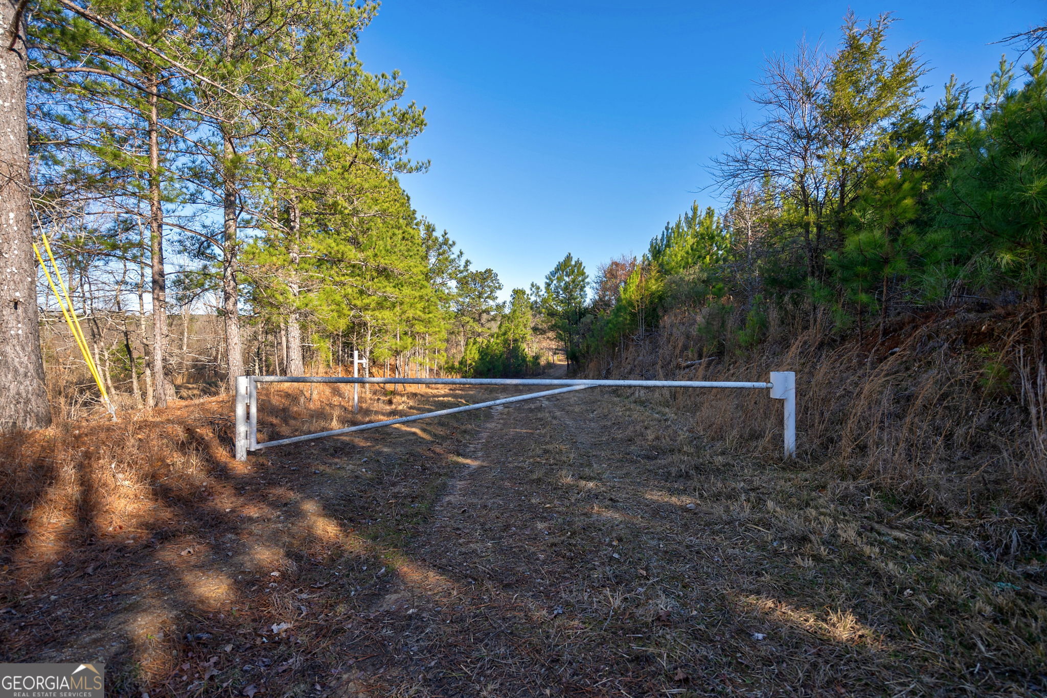 0 Lower Harmony Road Eatonton, GA 31024 - Photo 19 of 44