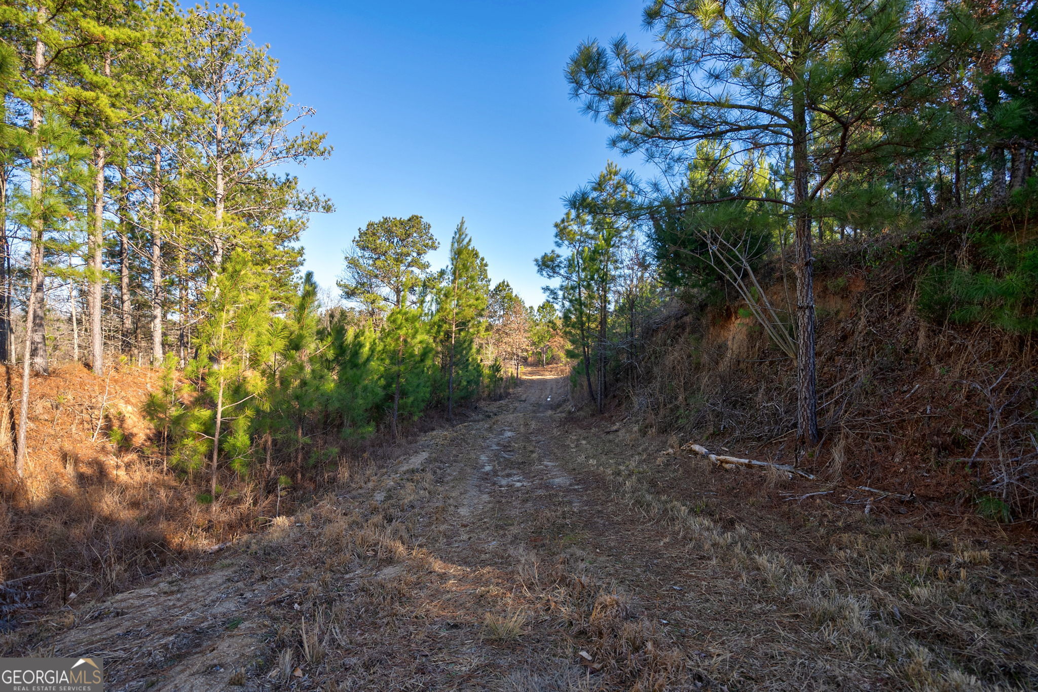 0 Lower Harmony Road Eatonton, GA 31024 - Photo 20 of 44
