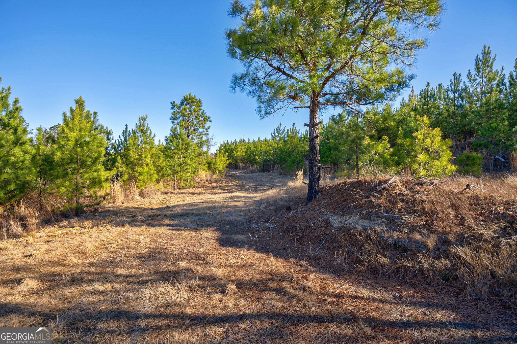0 Lower Harmony Road Eatonton, GA 31024 - Photo 21 of 44