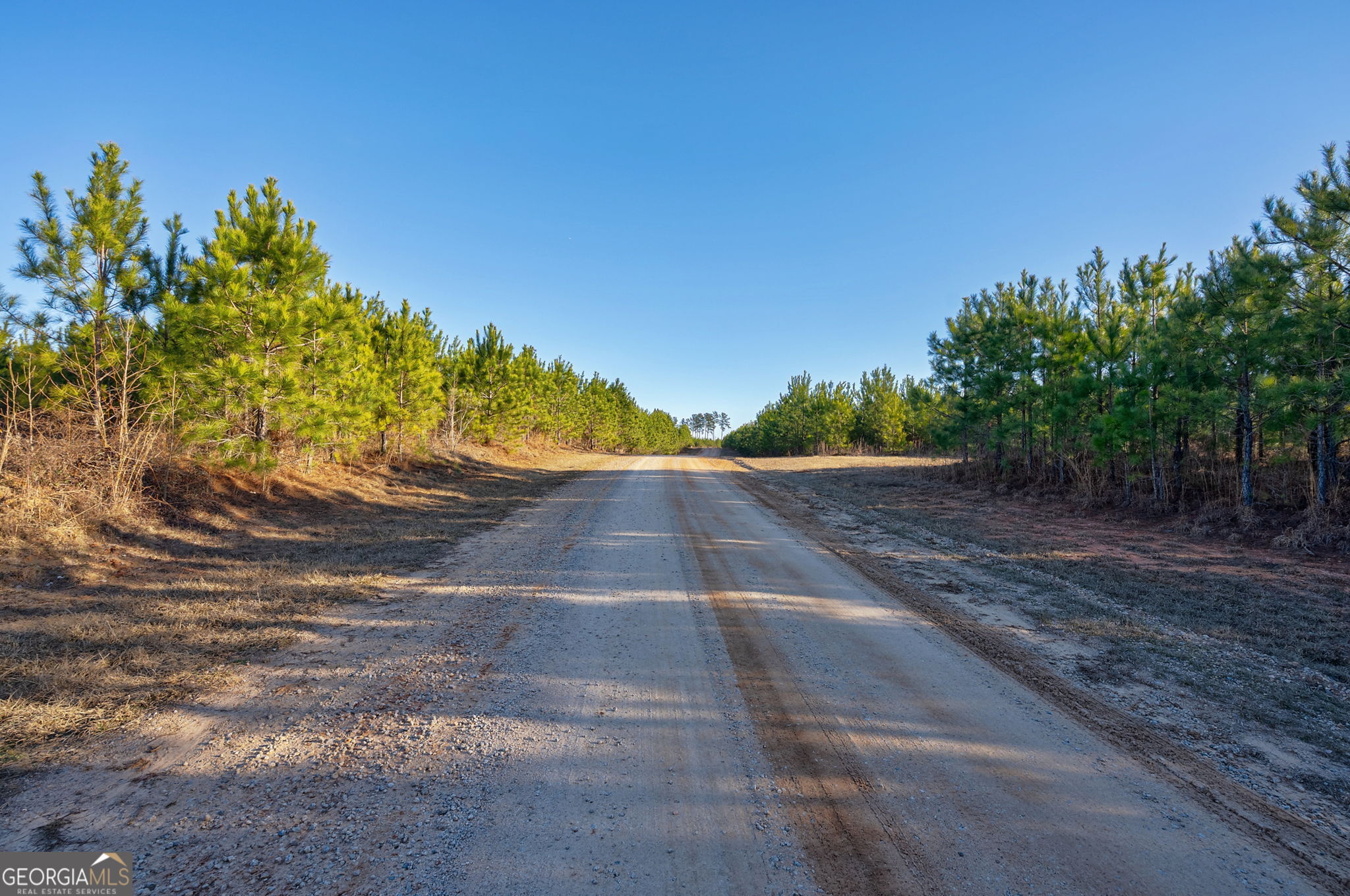 0 Lower Harmony Road Eatonton, GA 31024 - Photo 22 of 44