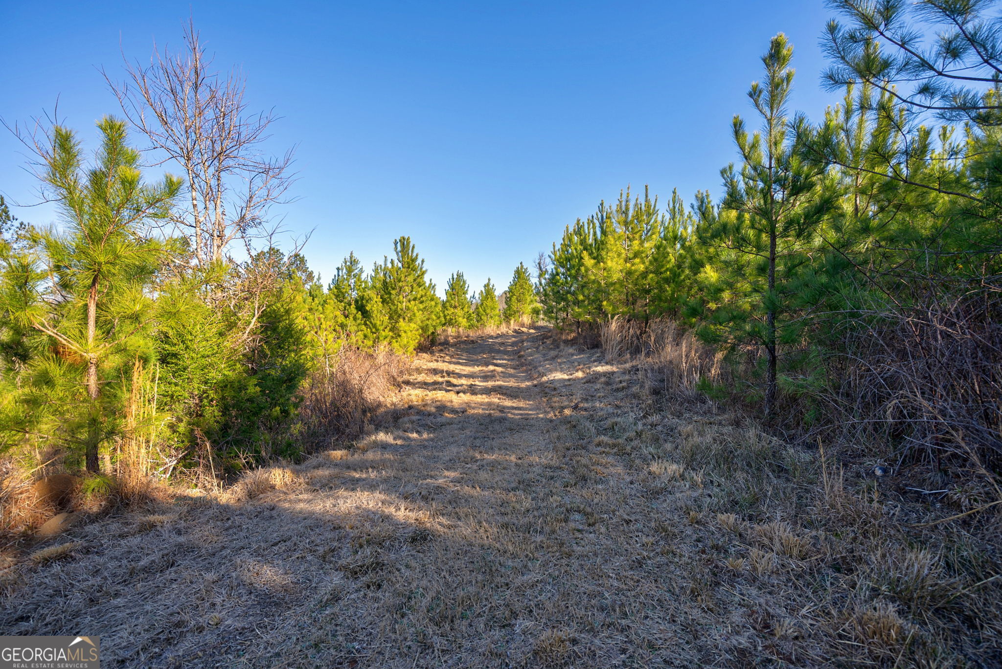 0 Lower Harmony Road Eatonton, GA 31024 - Photo 23 of 44