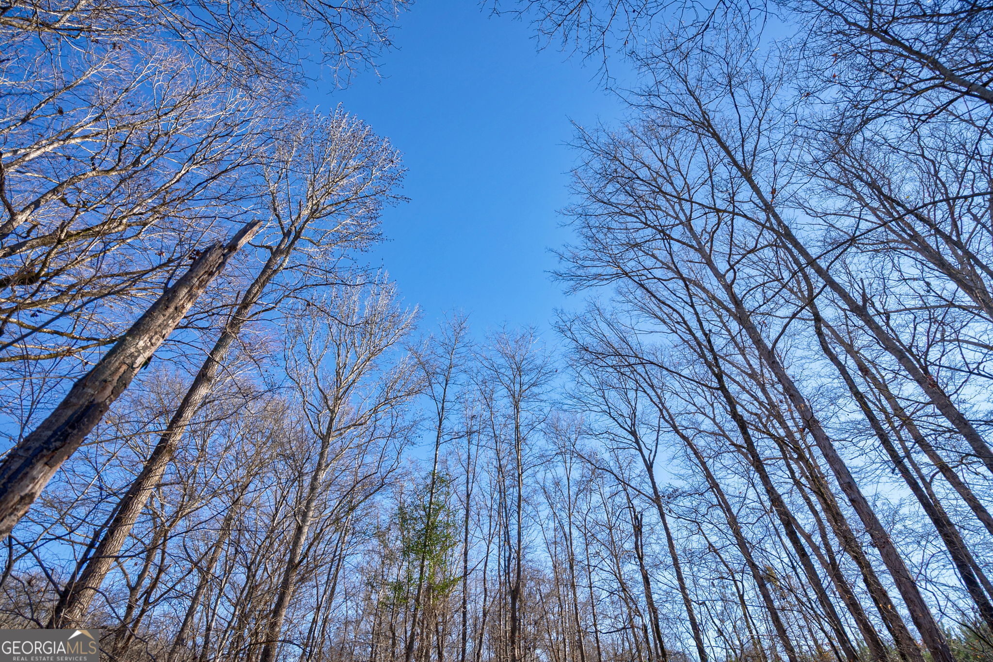 0 Lower Harmony Road Eatonton, GA 31024 - Photo 24 of 44