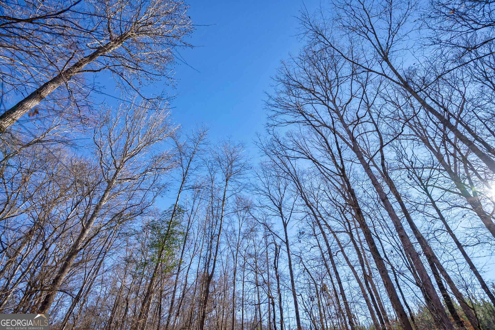 0 Lower Harmony Road Eatonton, GA 31024 - Photo 25 of 44