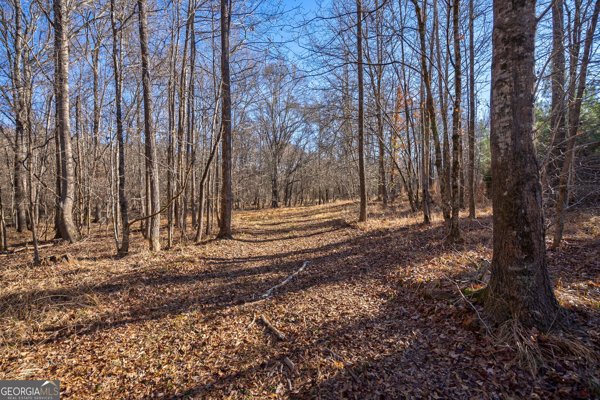 0 Lower Harmony Road Eatonton, GA 31024 - Photo 26 of 44