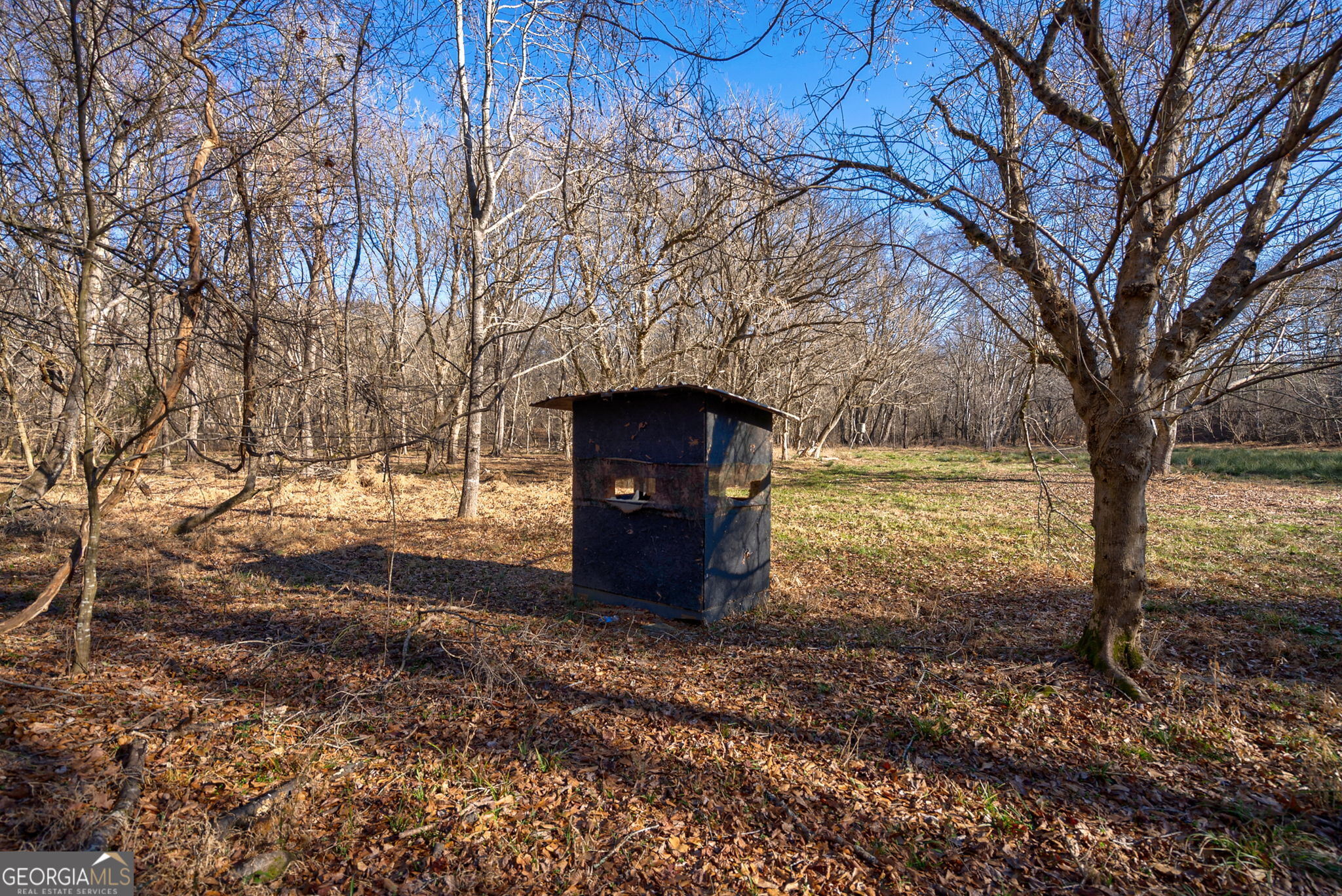 0 Lower Harmony Road Eatonton, GA 31024 - Photo 27 of 44
