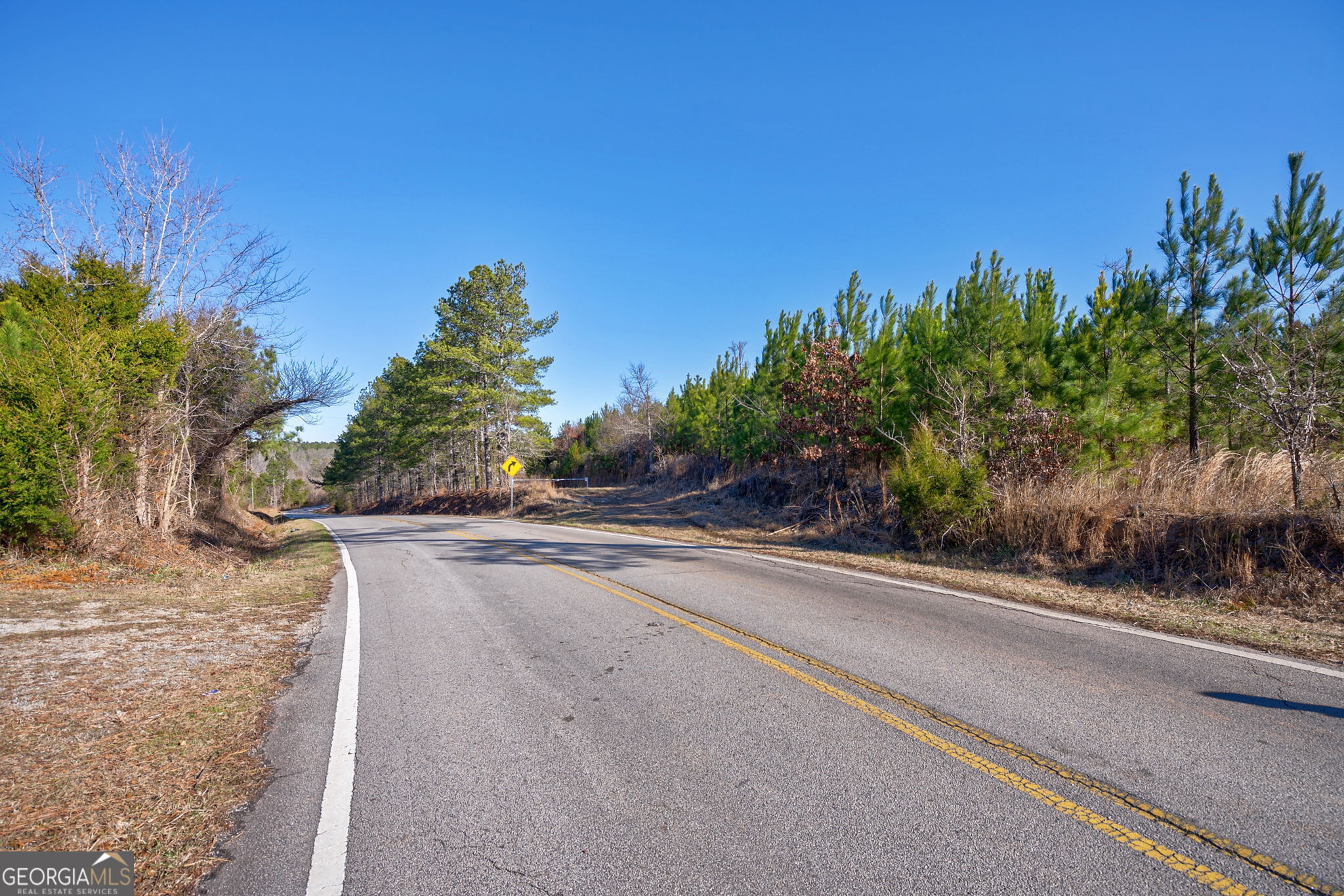 0 Lower Harmony Road Eatonton, GA 31024 - Photo 3 of 44