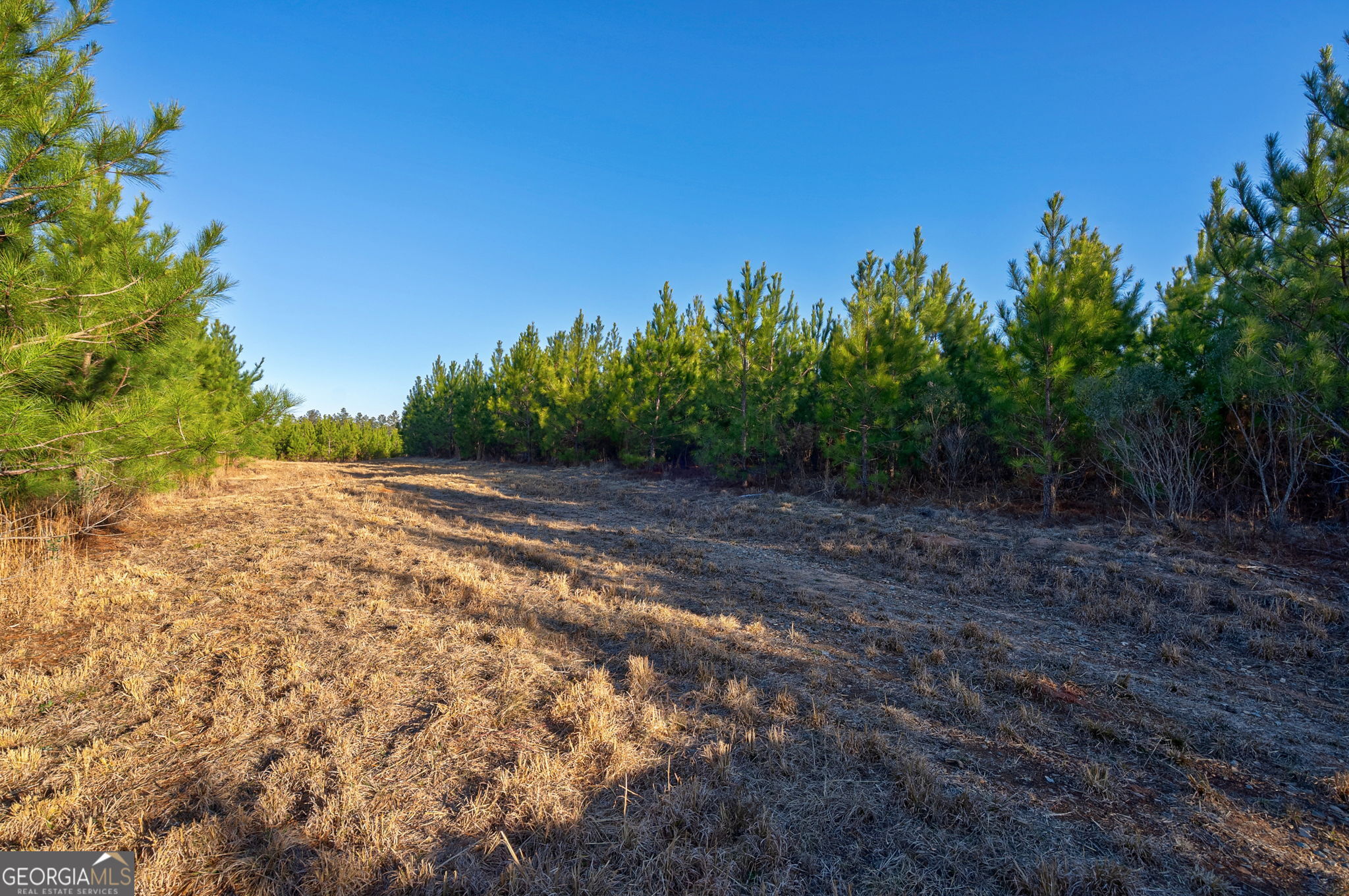 0 Lower Harmony Road Eatonton, GA 31024 - Photo 33 of 44