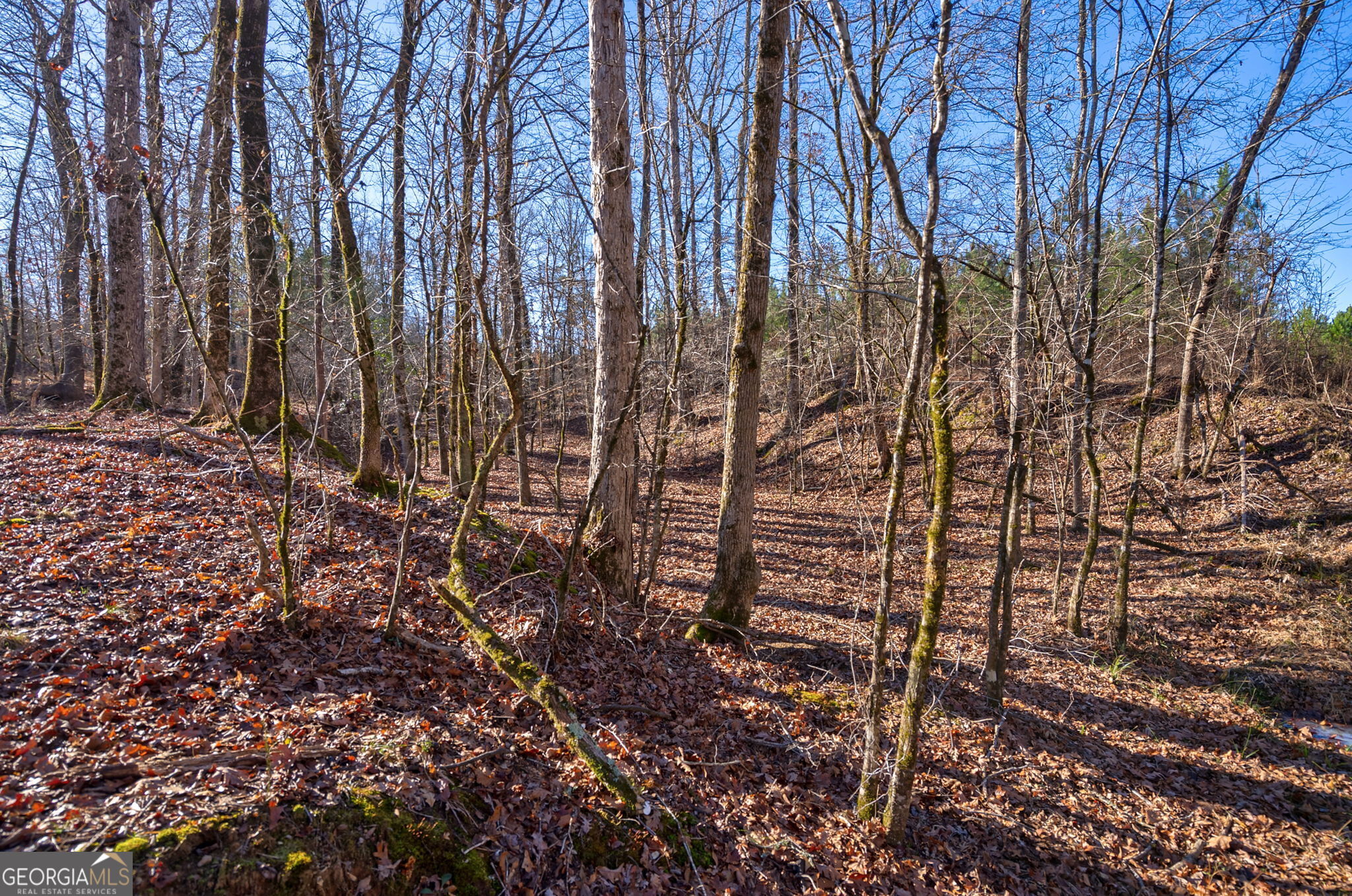 0 Lower Harmony Road Eatonton, GA 31024 - Photo 35 of 44