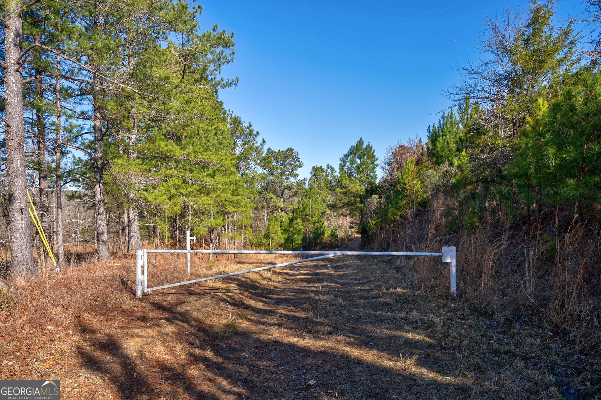 0 Lower Harmony Road Eatonton, GA 31024 - Photo 36 of 44