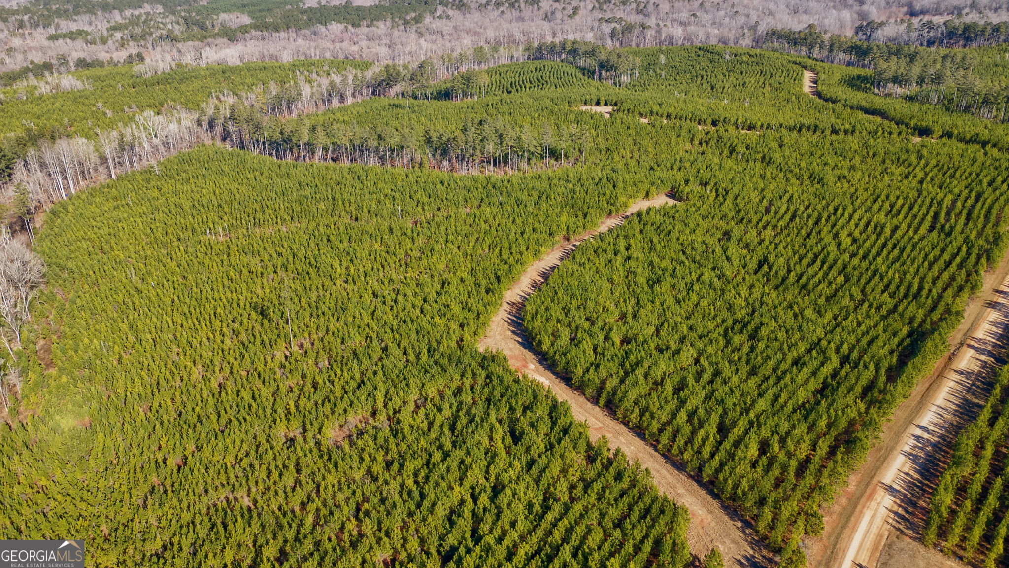 0 Lower Harmony Road Eatonton, GA 31024 - Photo 38 of 44