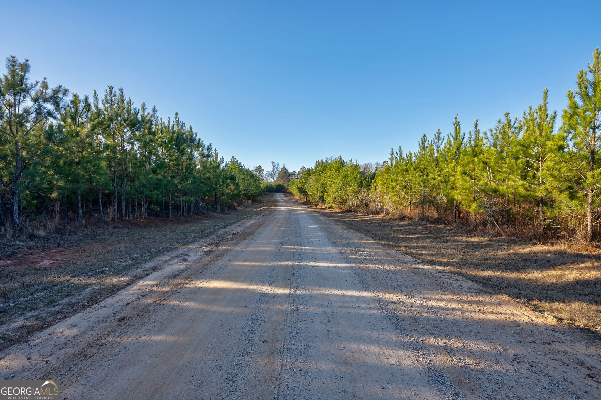 0 Lower Harmony Road Eatonton, GA 31024 - Photo 4 of 44