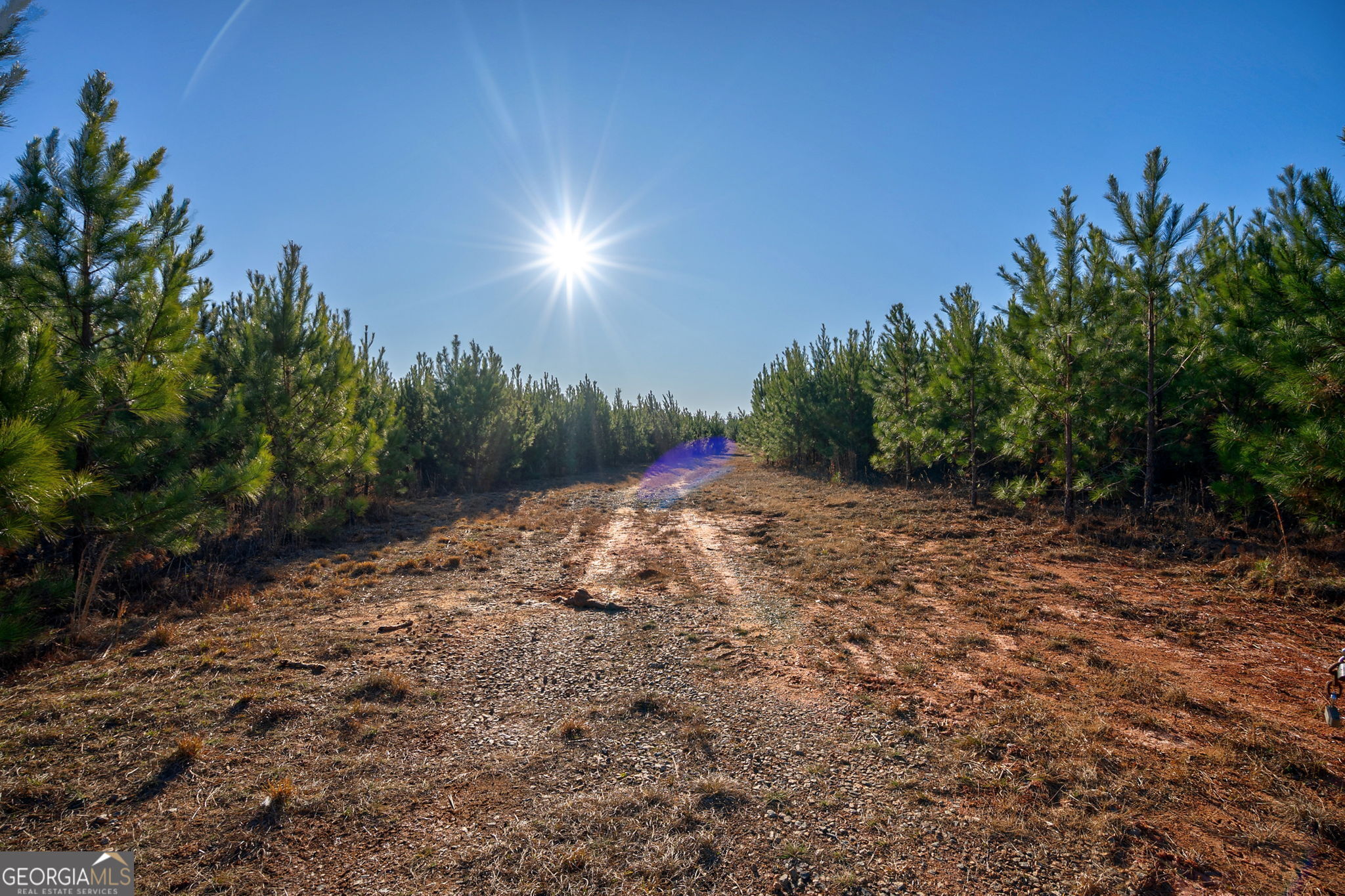 0 Lower Harmony Road Eatonton, GA 31024 - Photo 44 of 44