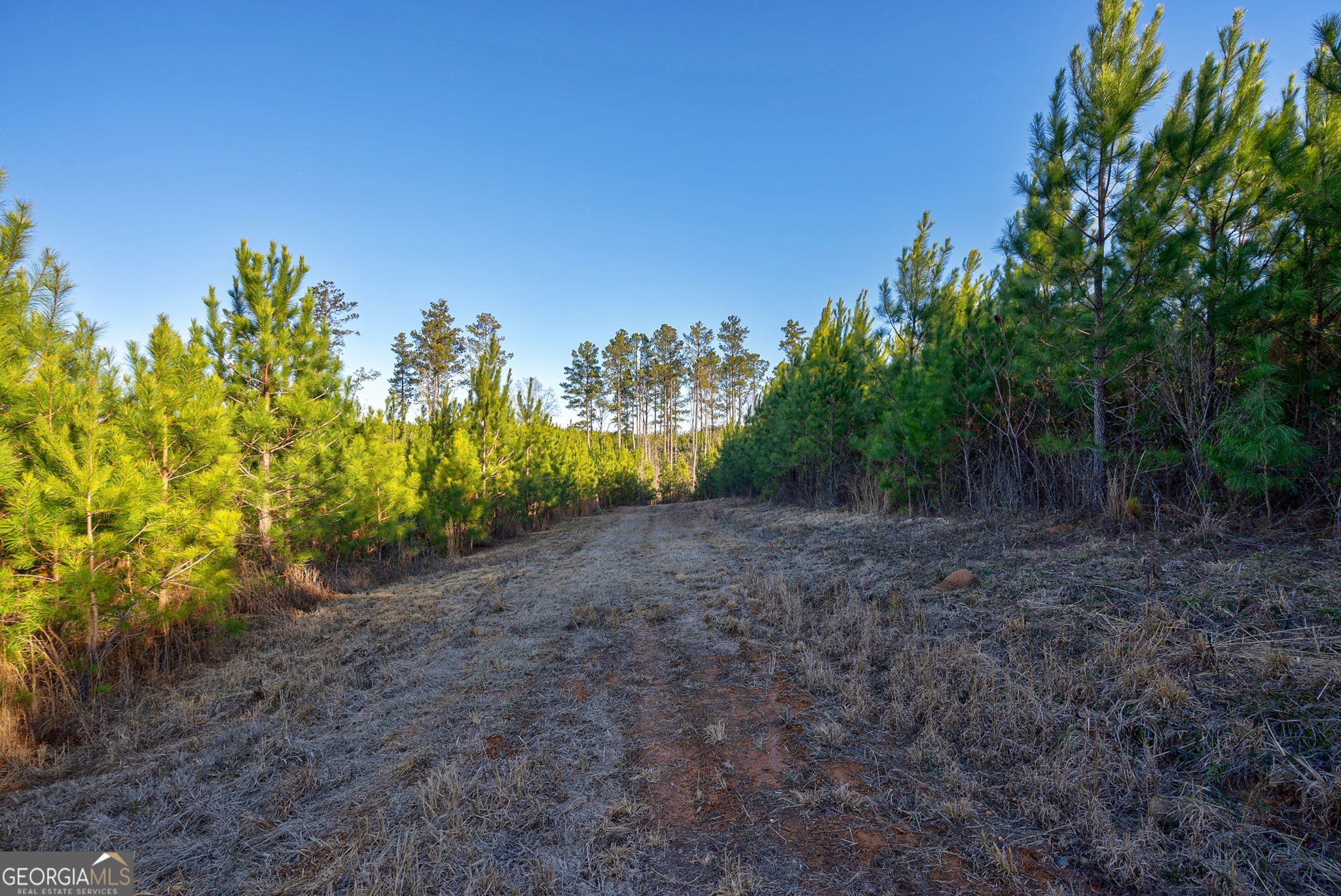 0 Lower Harmony Road Eatonton, GA 31024 - Photo 5 of 44