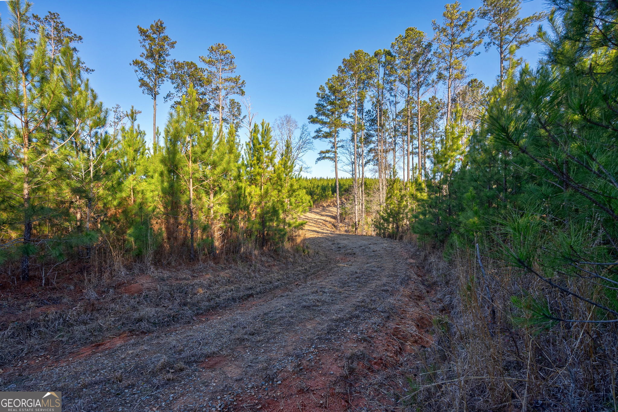 0 Lower Harmony Road Eatonton, GA 31024 - Photo 6 of 44