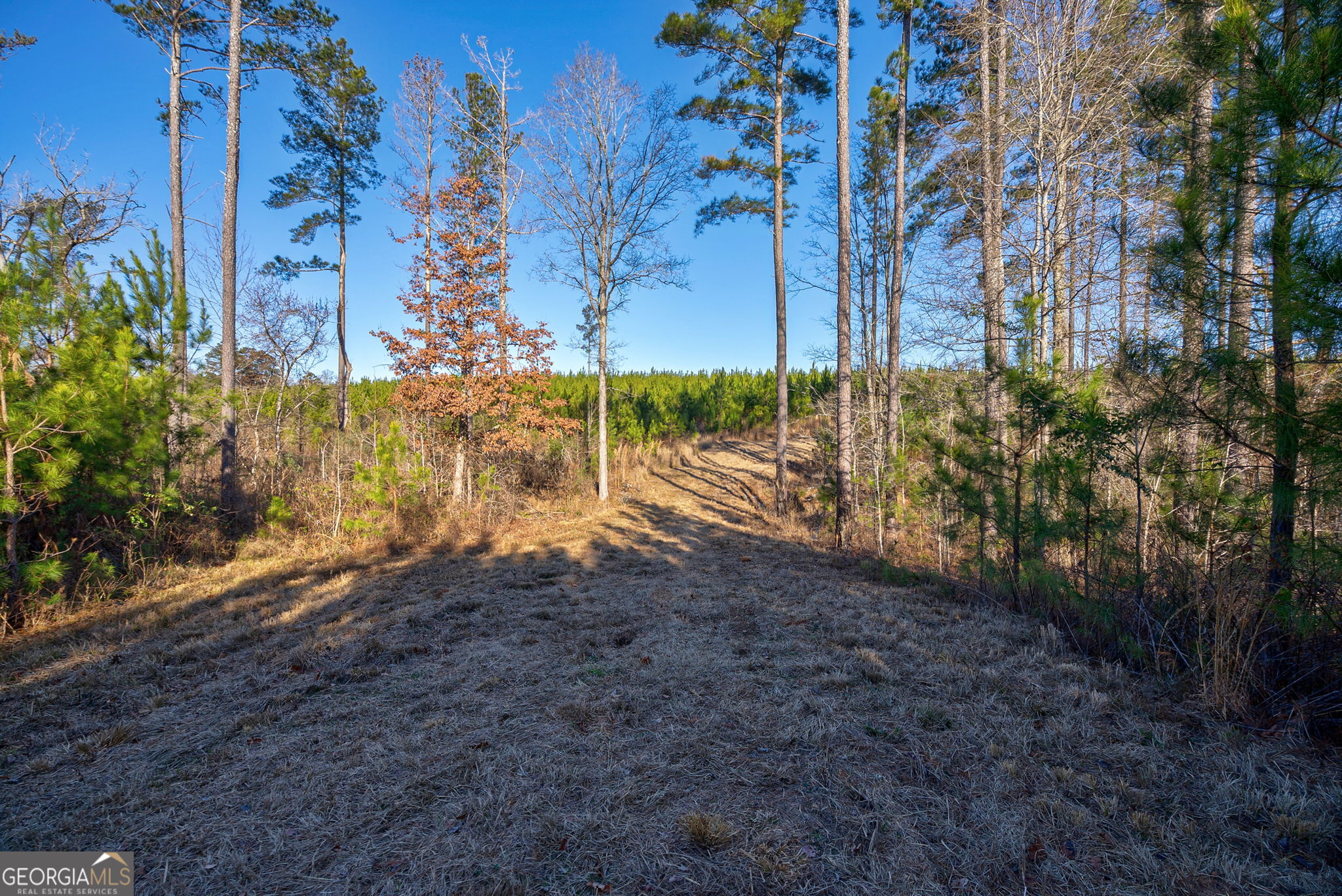 0 Lower Harmony Road Eatonton, GA 31024 - Photo 7 of 44