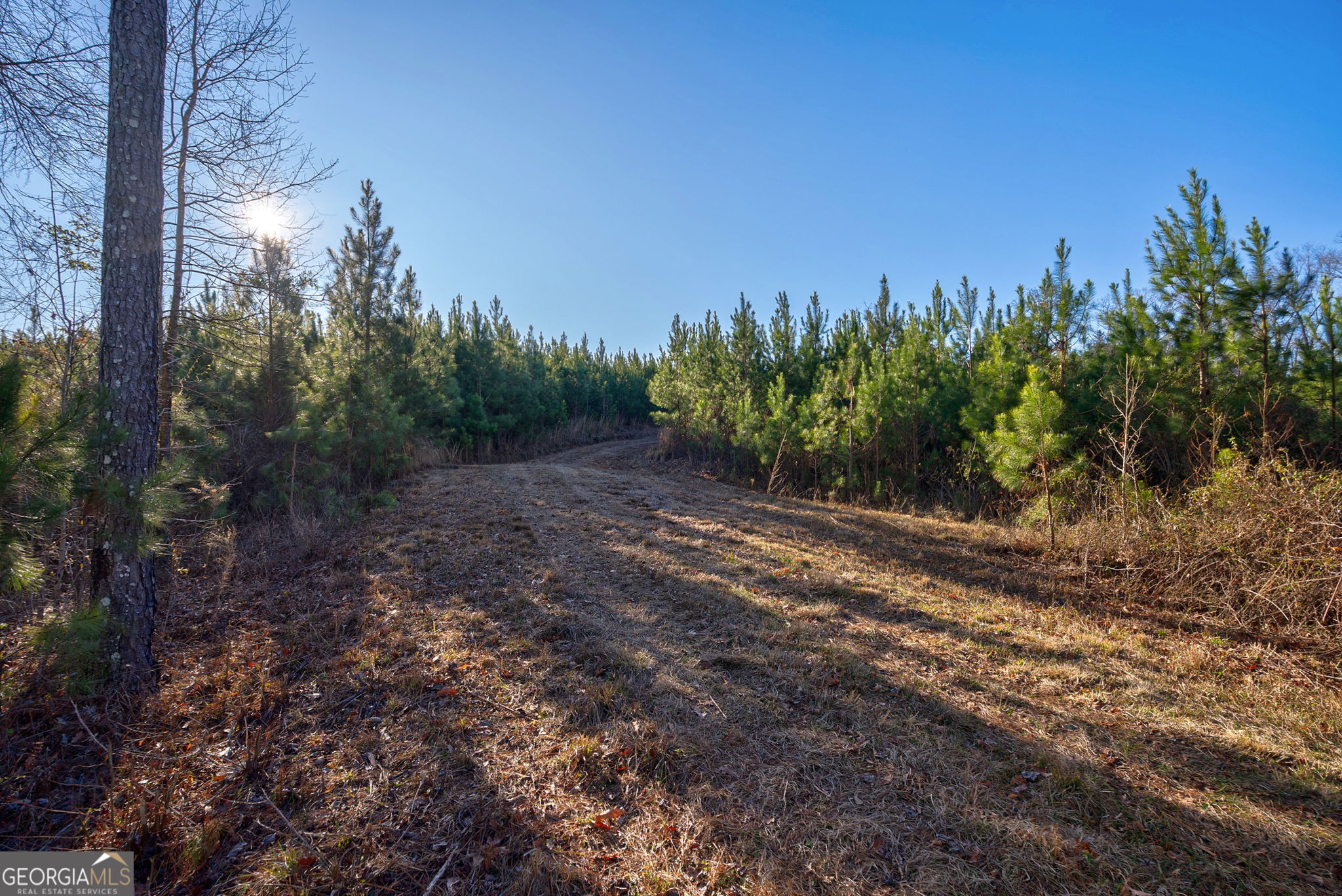 0 Lower Harmony Road Eatonton, GA 31024 - Photo 8 of 44