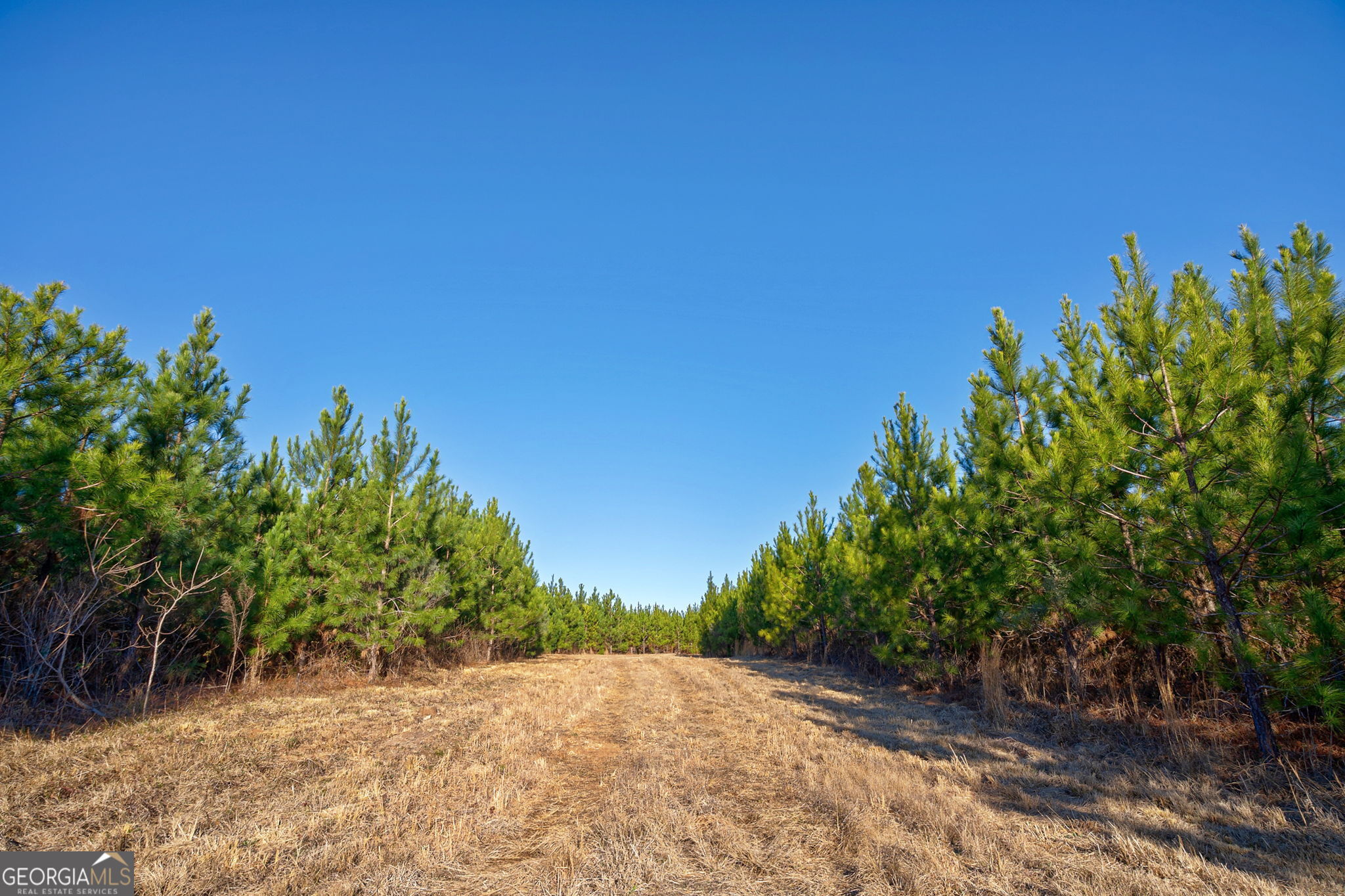 0 Lower Harmony Road Eatonton, GA 31024 - Photo 9 of 44
