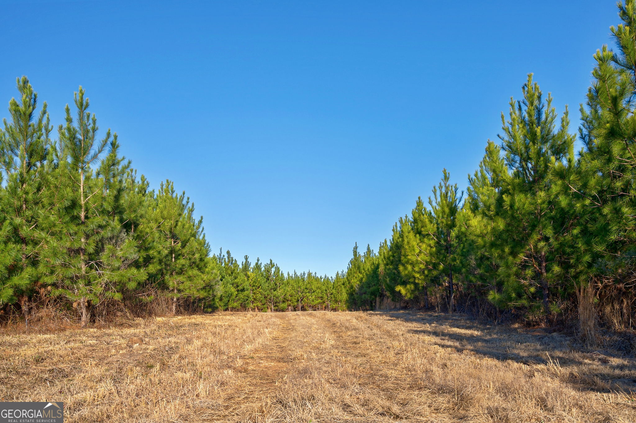 0 Lower Harmony Road Eatonton, GA 31024 - Photo 10 of 44