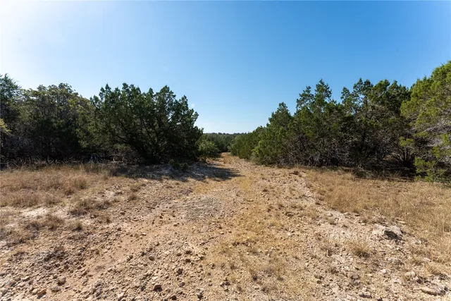 a view of a dry yard with trees in the background