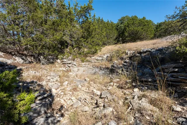 a view of a yard with plants and trees