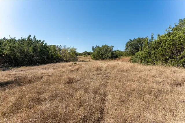 a view of a dry yard with trees in the background