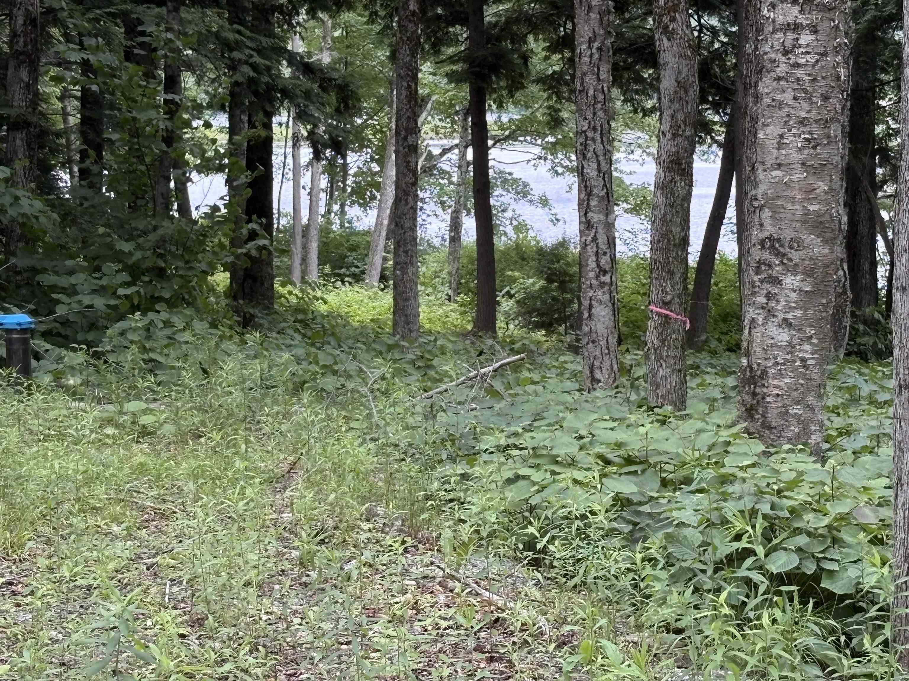 340 Tyanoga Road Whitingham, VT 05361 - Photo 2 of 5