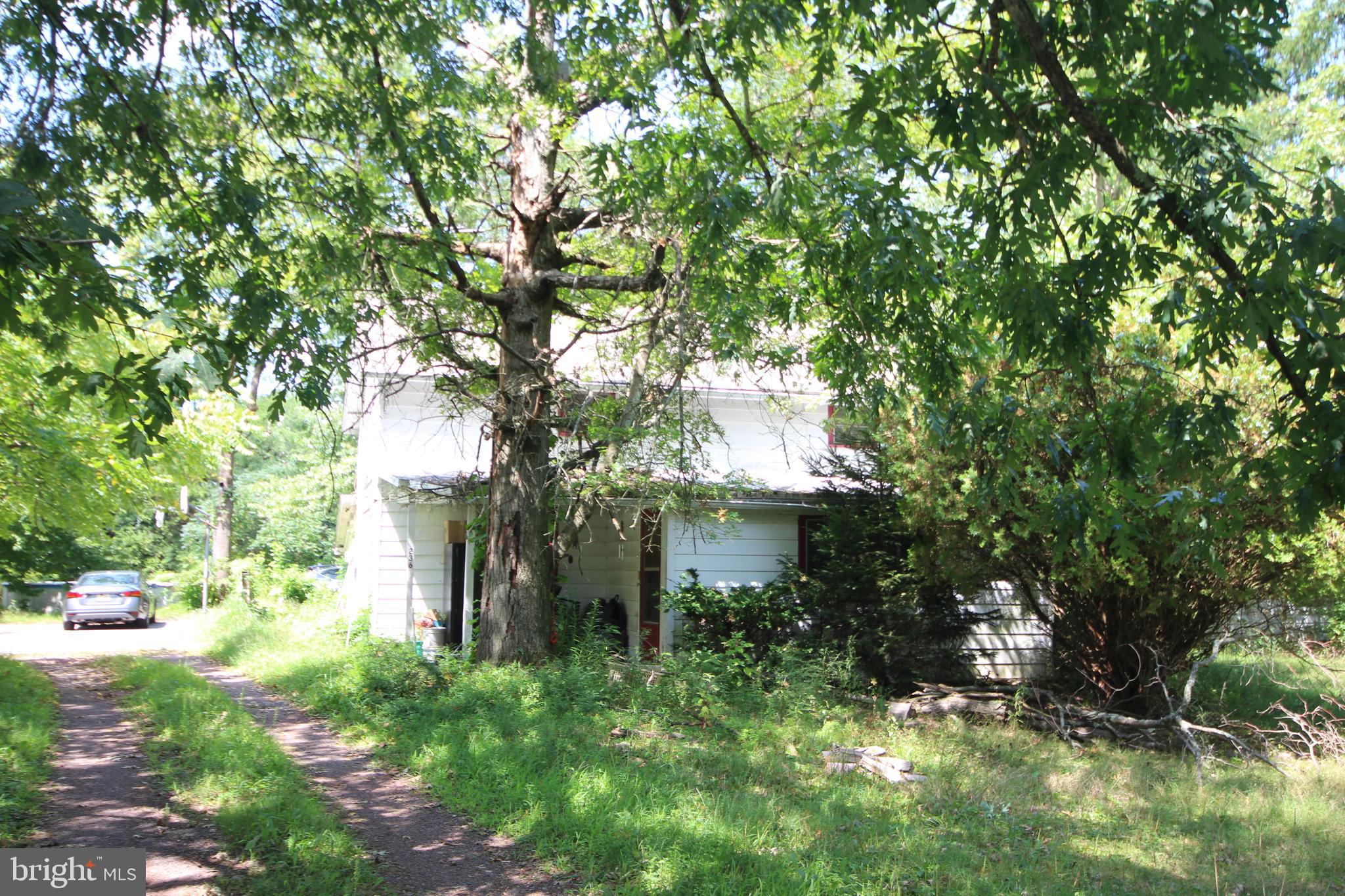 236 Station Road Quakertown, PA 18951 - Photo 3 of 19