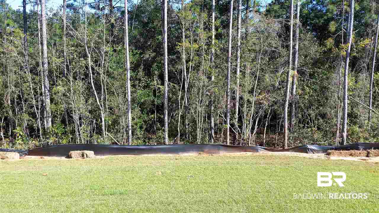 26648 Rosedown Lane Daphne, AL 36526 - Photo 8 of 20 Back Yard