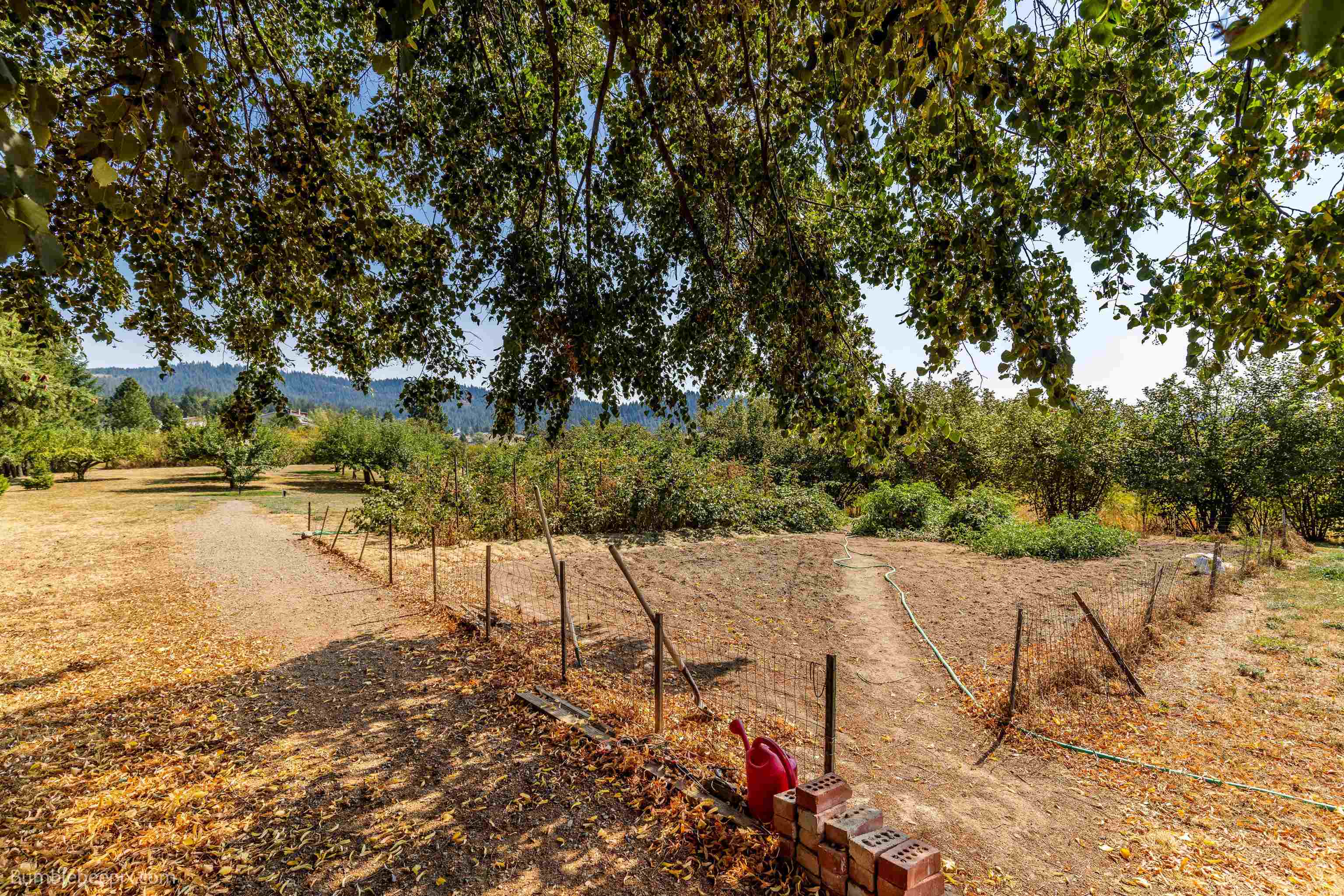 10806 North Morrison Road Spokane, WA 99217 - Photo 16 of 44