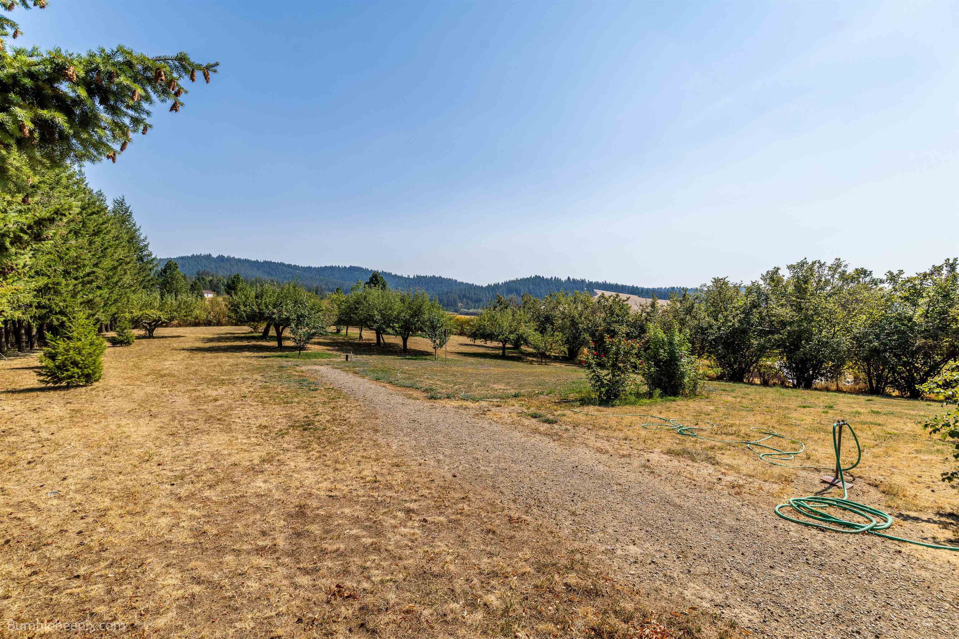 10806 North Morrison Road Spokane, WA 99217 - Photo 17 of 44