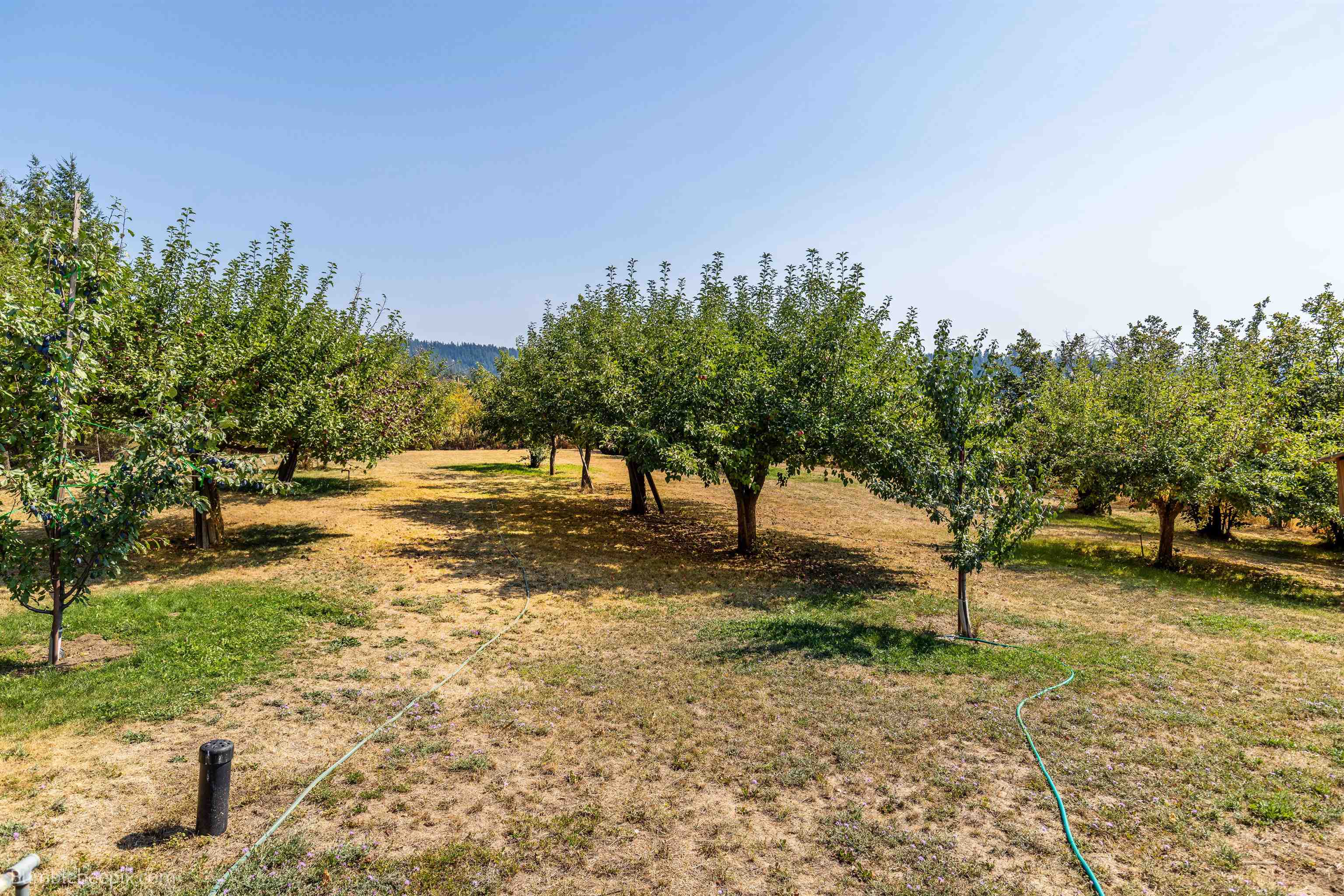 10806 North Morrison Road Spokane, WA 99217 - Photo 18 of 44