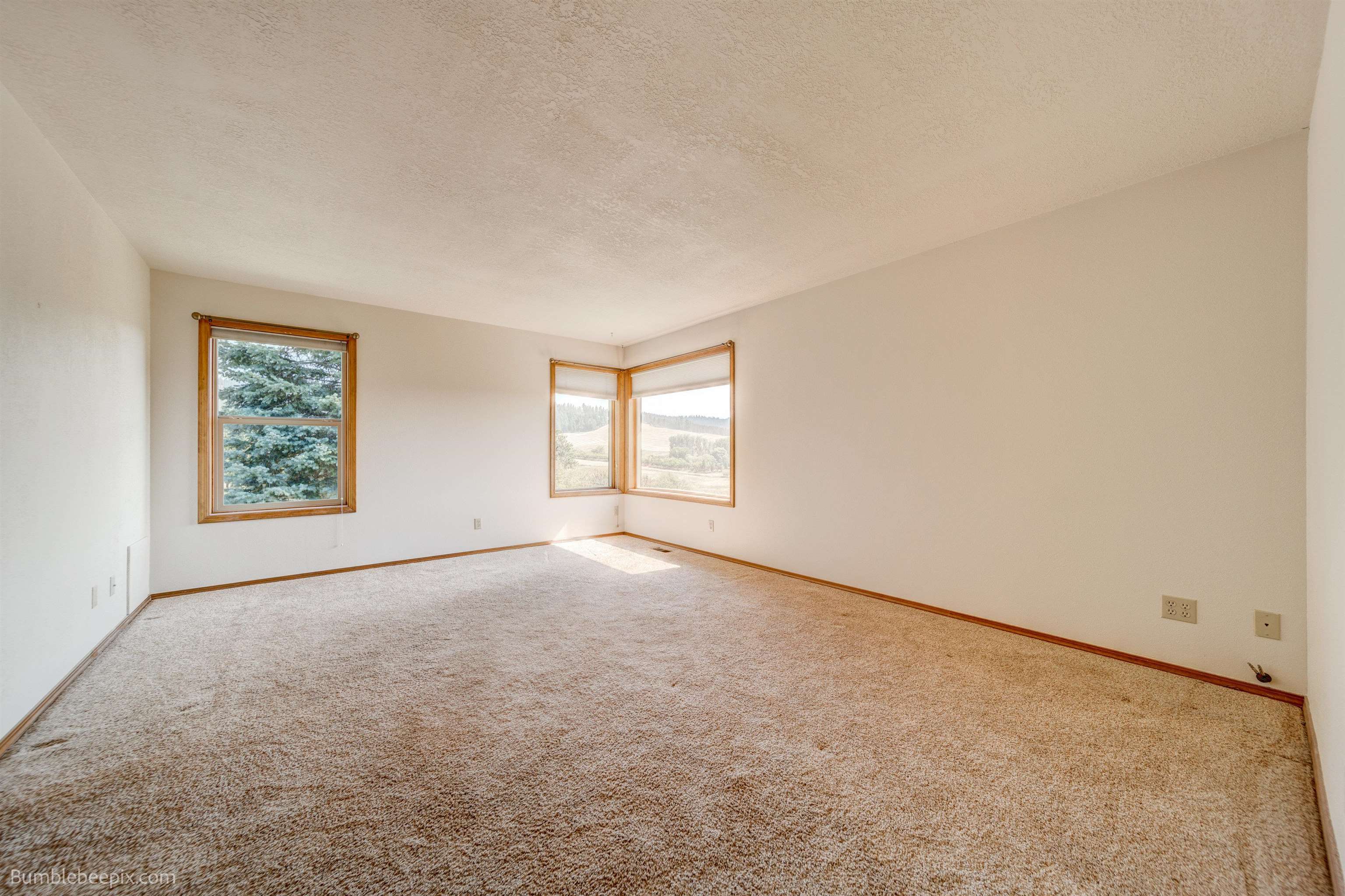 10806 North Morrison Road Spokane, WA 99217 - Photo 27 of 44