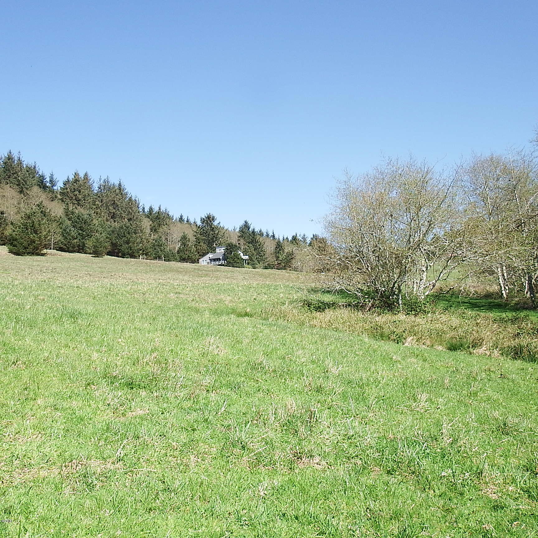 6205 Scherzinger Road Neskowin, OR 97149 - Photo 76 of 88 West Property Line view to House