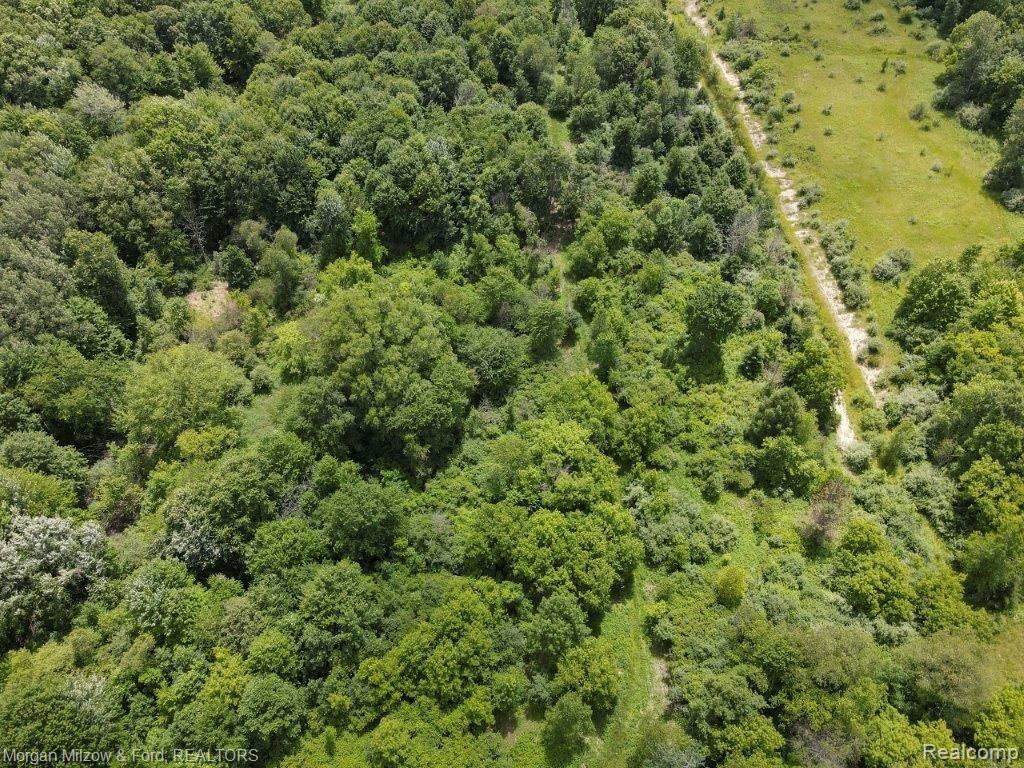 0 Tucker Road Walled Lake, MI 48390 - Photo 10 of 16