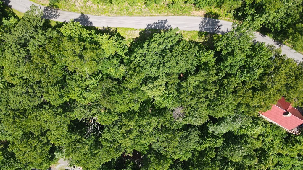 0 Lower Alpine Way Gatlinburg, TN 37738 - Photo 4 of 7