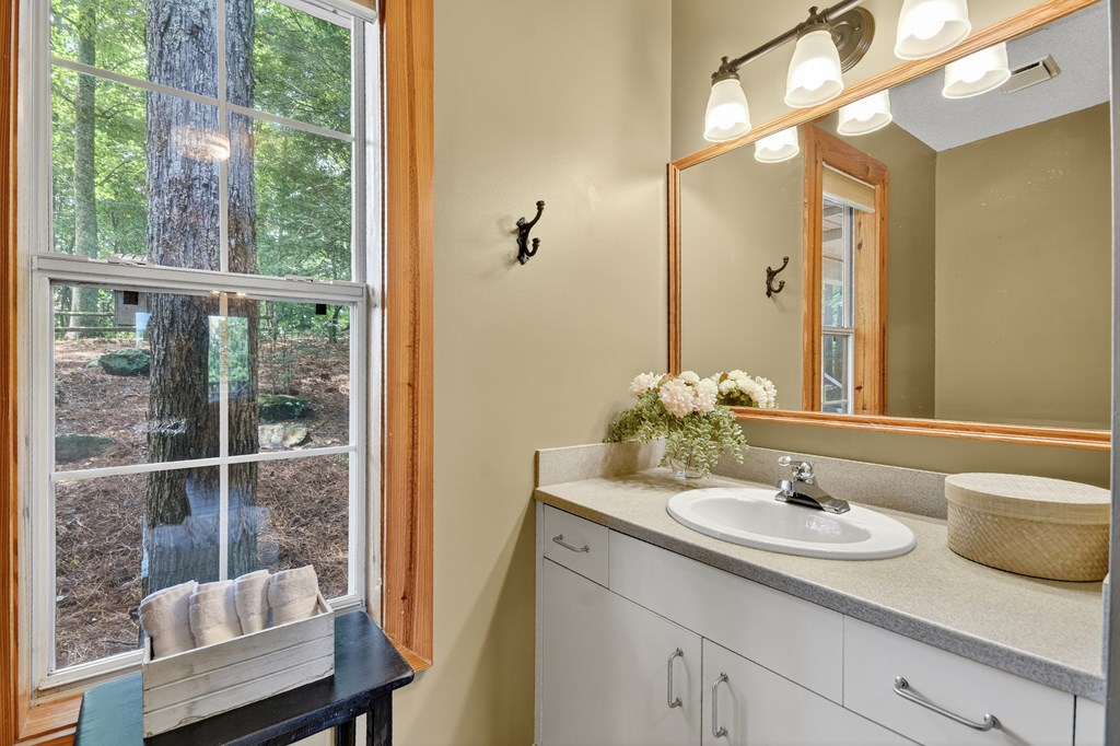 1689 Walnut Ridge Ellijay, GA 30536 - Photo 15 of 38 Gallery Image 15