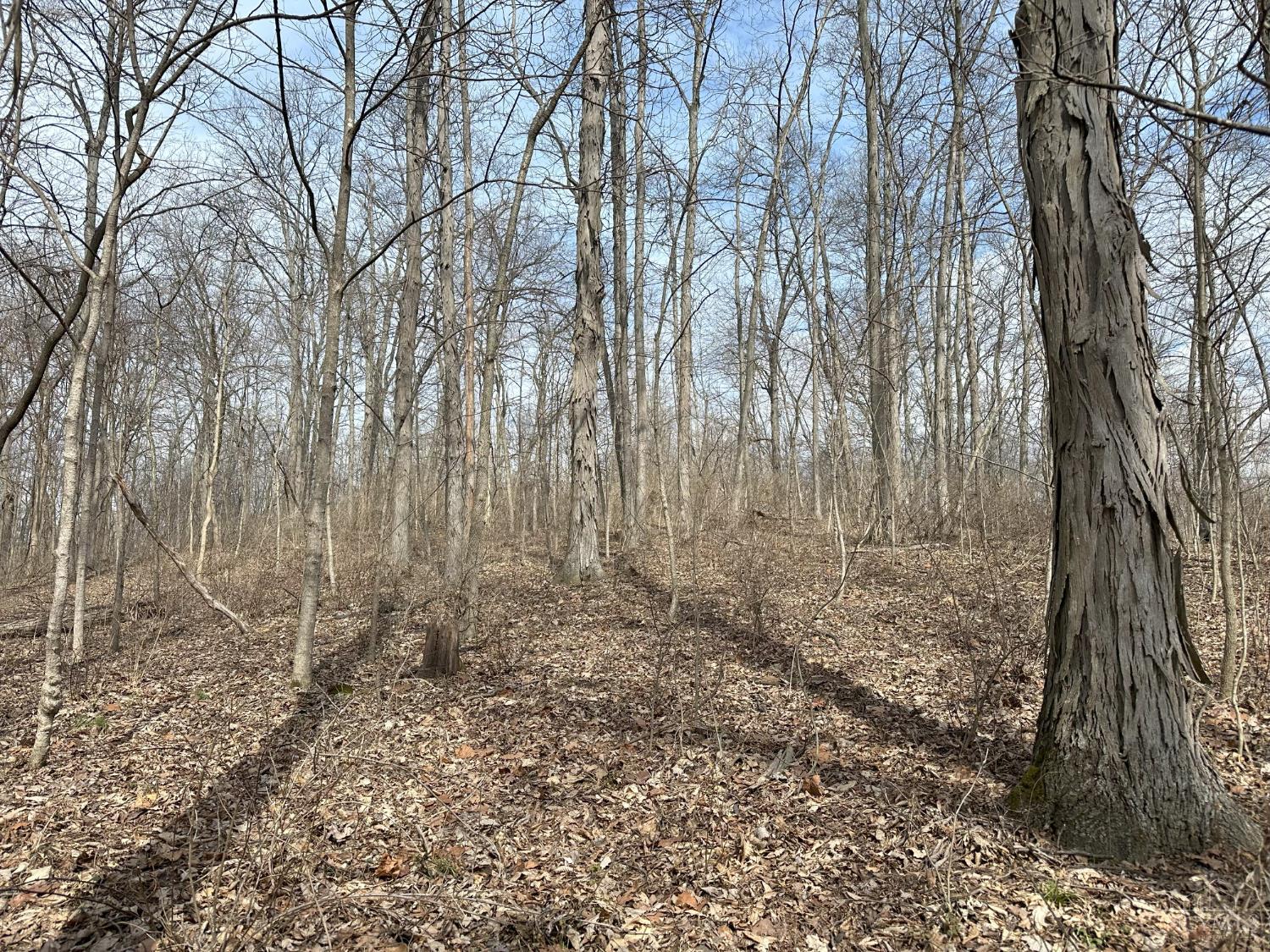 0 Wilson Road Winchester, OH 45697 - Photo 23 of 69