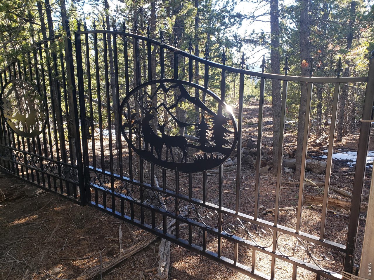 0 Forest Service 169 Road Red Feather Lakes, CO 80545 - Photo 3 of 6 Gate at driveway